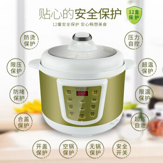 大松（TOSOT）格力电压力锅家用电饭煲5L/6L多功能智能预约双胆高压锅/饭煲 CY-60X61S(6升）