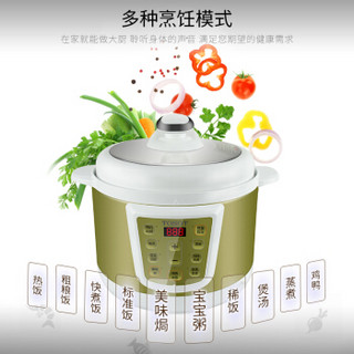 大松（TOSOT）格力电压力锅家用电饭煲5L/6L多功能智能预约双胆高压锅/饭煲 CY-60X61S(6升）