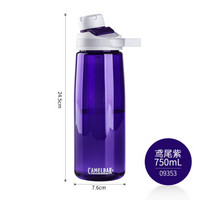 驼峰（CAMELBAK） 美国户外运动水壶大容量水杯塑料水瓶 09353鸢尾紫750ml