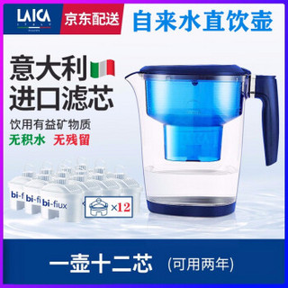 莱卡（LAICA）直饮壶原装进口8周长效EP1117净水壶净水器净饮一体机碧然德brita 通用滤芯 一壶十二芯