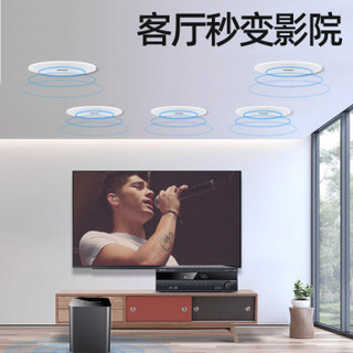 山水（SANSUI） T2家庭影院组合音响套装 吸顶音箱 电视家用蓝牙客厅吊顶音箱 8英寸+无线话筒（功放+低音炮+5个吸顶喇叭）