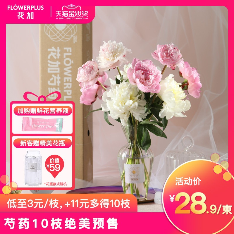 泪目!江苏一大爷因拆迁,磕头告别养了40年的牡丹,太不舍