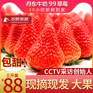圣野果源 丹东99草莓 3斤