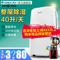 格力（GREE）家用除湿机地下室智能数控静音抽湿机/除湿器/干衣机/干燥机 全屋除湿干衣净化 DH40EF（40升/天）