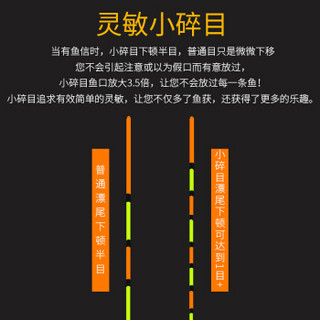 双宝（SHUANGBAO）双宝精作浮漂超灵敏纳米鱼漂鲫鱼漂长脚长尾浮漂台钓配件钓鱼用品 N-005 123号各一支组合装