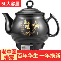 华生（washon）全自动煎药壶养生壶3L电子煎药陶瓷中药壶壶熬药锅药膳中药煲家用中药锅熬药罐电砂锅 黑陶款5L