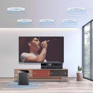 山水（SANSUI） T2家庭影院组合音响套装 吸顶音箱 电视家用蓝牙客厅吊顶音箱 6.5英寸无边框（功放+低音炮+5个吸顶喇叭）