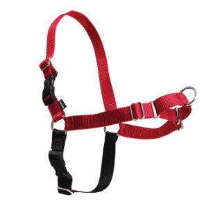 贝适安(PetSafe)狗狗专业防爆冲胸背带遛狗绳狗链小中大型犬缓冲牵狗带(不含牵引绳) 红色 M/L 中-大码