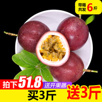 倍萃 广西百香果 22个 2.6斤