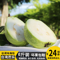 铂果 白心芭乐 番石榴 6斤装