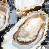 浓沁绿 新鲜威海乳山牡蛎 单个70g-90g 10斤