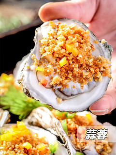 浓沁绿 新鲜威海乳山牡蛎 单个70g-90g 10斤