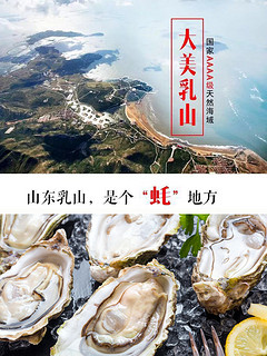 浓沁绿 新鲜威海乳山牡蛎 单个70g-90g 10斤