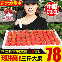 农锦鲜 新鲜奶油草莓 3斤