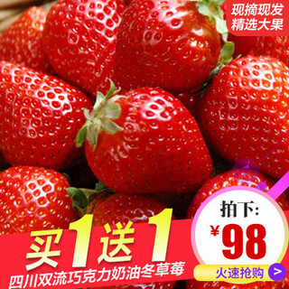 农赐 双流红颜奶油冬草莓 750g