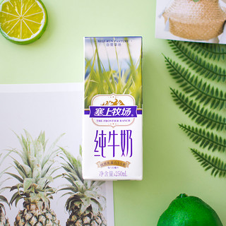 夏进 塞上牧场 纯牛奶 250ml*12盒