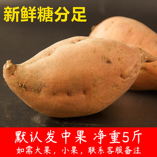 农锦鲜 山东烟台蜜薯 2500g