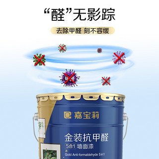 CARPOLY 嘉宝莉 纯逸净味抗甲醛五合一墙面漆 20kg