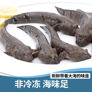 鲜外鲜 跳跳鱼/弹涂鱼/滩涂鱼  500g（25-32条）