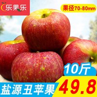 乐果乐 盐源丑苹果 冰糖心  10斤