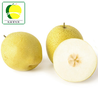 赵县雪花梨   砀山梨   5斤