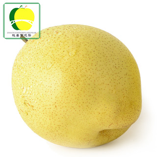 赵县雪花梨   砀山梨   5斤