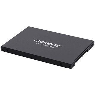 GIGABYTE 技嘉 UD PRO 固态硬盘 512GB