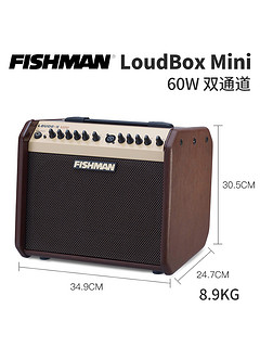 Fishman Loudbox mini 60W 渔夫 原声木吉他弹唱音箱