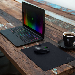 RAZER 雷蛇 重装甲虫移动版游戏鼠标垫