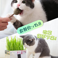 喵食客 宠物 猫玩具 猫薄荷木天蓼棒棒糖