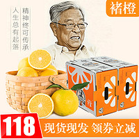 褚氏新选  褚氏励志橙冰糖橙 褚橙M号 5kg  