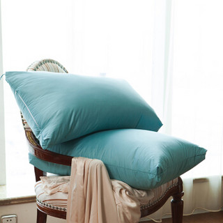 storge思多奇80柔赛丝羽毛枕4874cm一只装