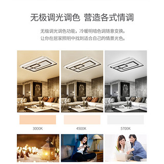 -lighting 雷士照明 NVC Lighting  Lighting照明  LED吸顶灯套餐 林影中式吸顶灯 