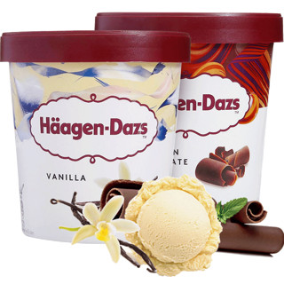 Häagen·Dazs 哈根达斯冰淇淋 400g