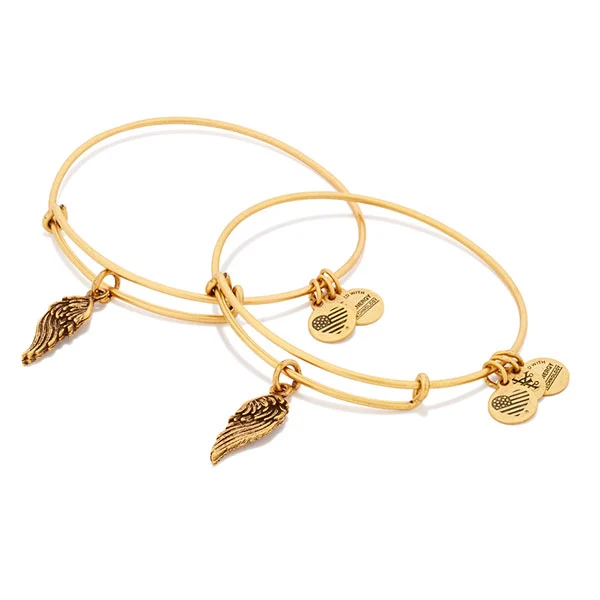  Alex And Ani Path of Symbols 镂空翅膀吊坠手镯