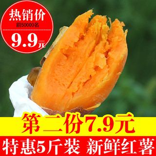 湘九味 板栗红薯 5斤