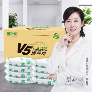 绿之源 V5系列 除味活性炭 3000g 车家两用