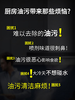 亮晶晶 厨房油烟机清洁剂 柠檬清香 500g