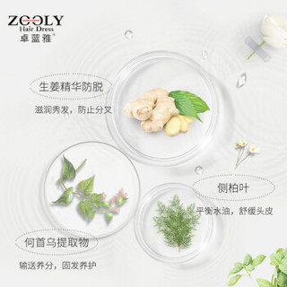 ZOOLY 卓蓝雅 老姜王去屑舒缓洗发水 800ml