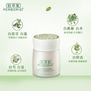 HERBORIST 佰草集 新七白美白滋养霜 50g