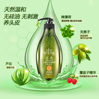 seeyoung 滋源 无患子控油清爽洗头水套装无硅油535ml+235ml+发膜200ml+60ml*2