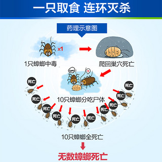 BAYER 拜耳 杀蟑胶饵  12g