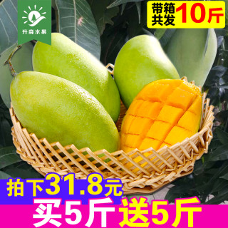 升森 越南青芒果 净重9斤