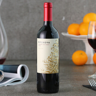 Concha y Toro 干露 费洛雅赤霞珠西拉干红葡萄酒 750ml*6瓶 整箱装