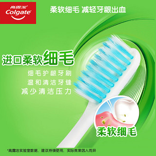 Colgate 高露洁 细毛护龈牙刷