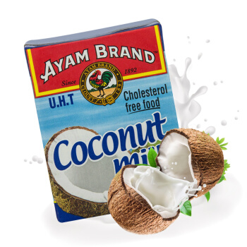 ayam brand 雄鸡标 椰浆 200ml *2件