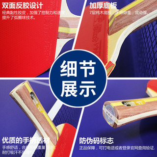 DHS 红双喜 R200X 入门乒乓球拍