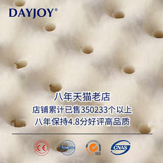 Dayjoy 泰国进口天然乳胶枕芯 3-8岁儿童款 （不含外枕套）