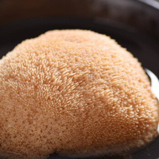 素养生活 有机猴头菇 55g