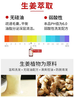 ZOOLY 卓蓝雅 生姜洗护套装 400ml+400ml